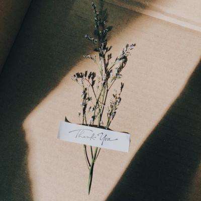 澳门·新甫京娱乐娱城app下载