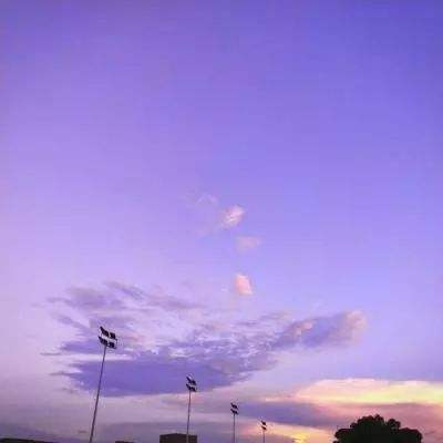 盈彩网下载手机版